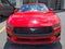2024 Ford Mustang EcoBoost Premium Fastback