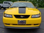 2004 Ford Mustang Premium Mach 1
